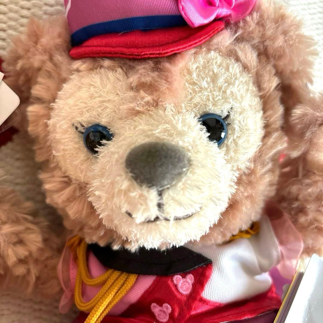 東京ディズニーシー ハートウォーミング・デイズ ダッフィーのぬいぐるみポシェット