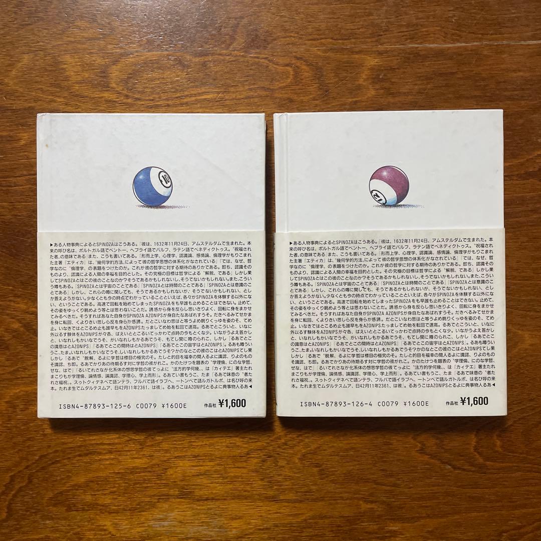 小池桂一　スピノザ　全2冊