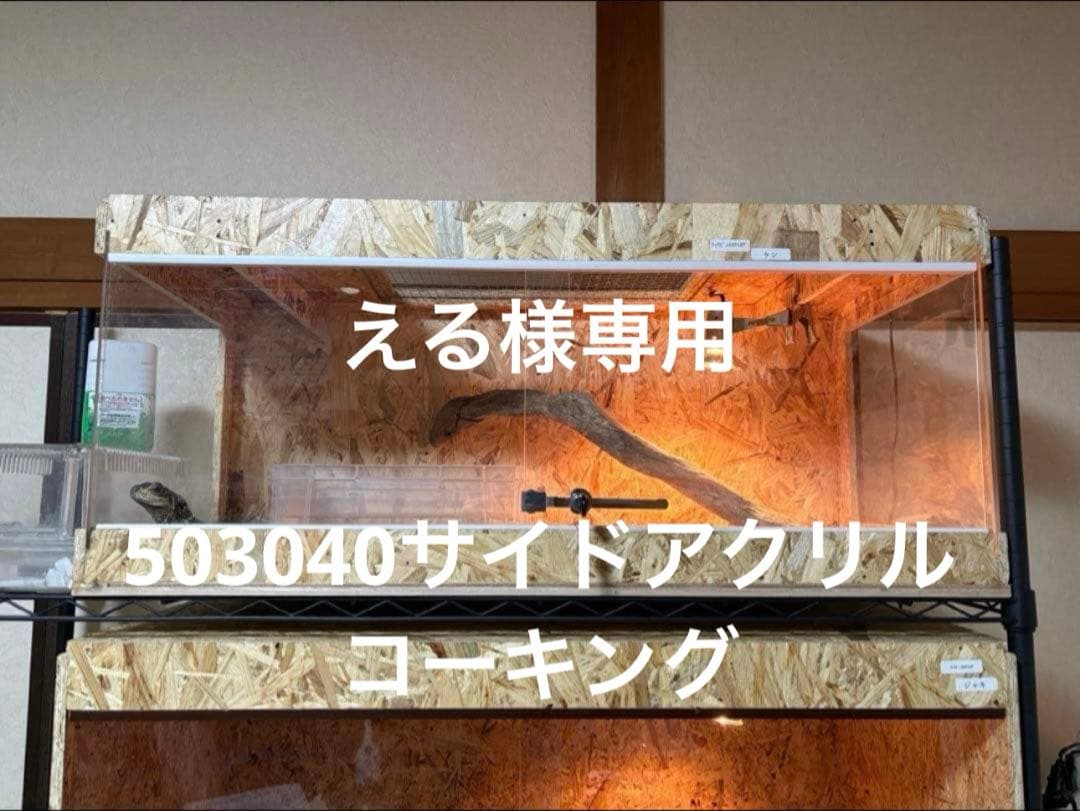 える　503040