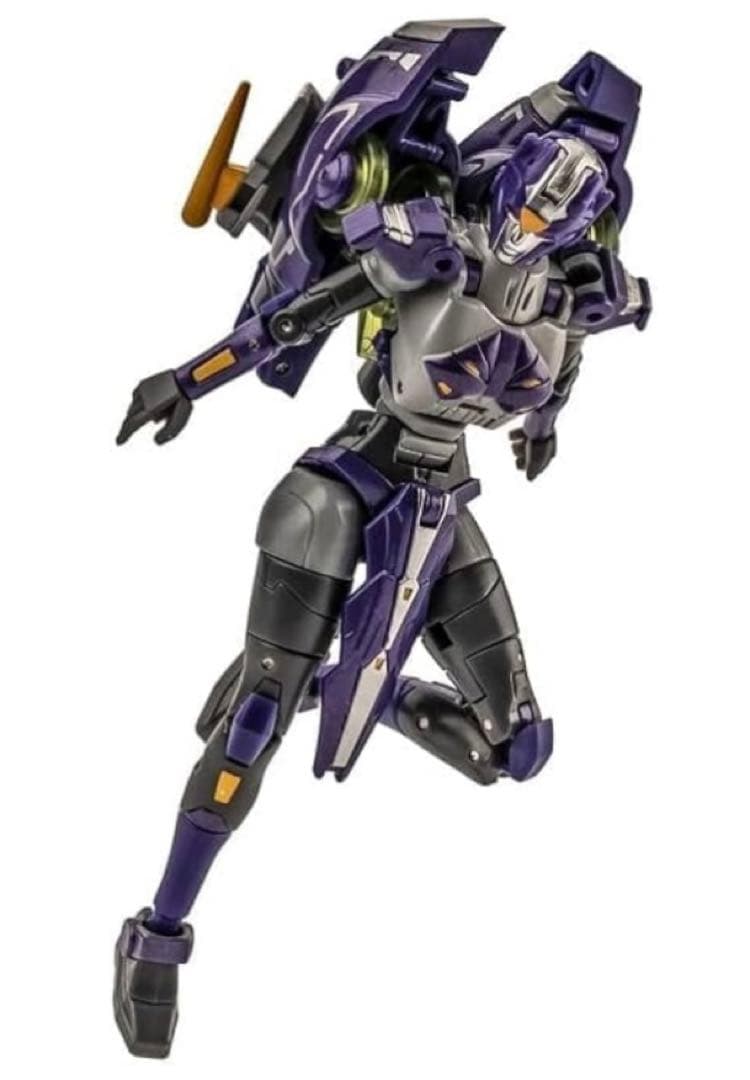 非正規トランスフォーマー/ソラスプライムっぽい人