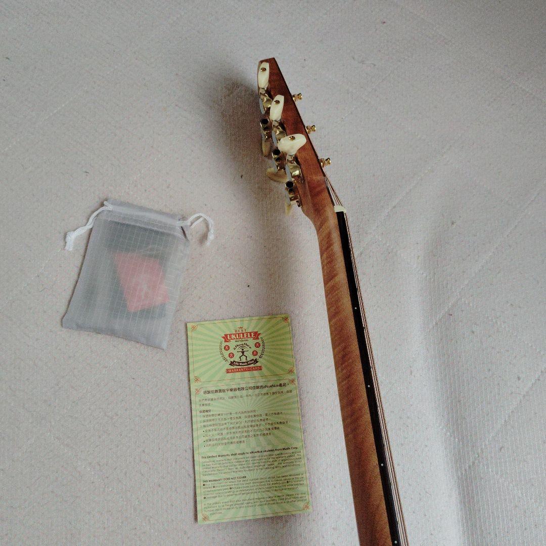 aNueNue （アヌエヌエ）M30　トップ単板、オールアカシアギター