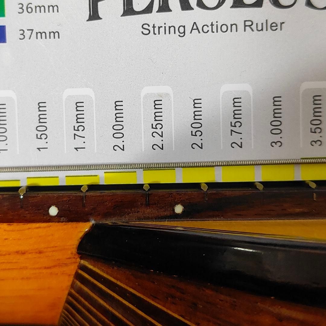 美品 Sofia SM201 マンドリン 寺田楽器 ハードケース付き