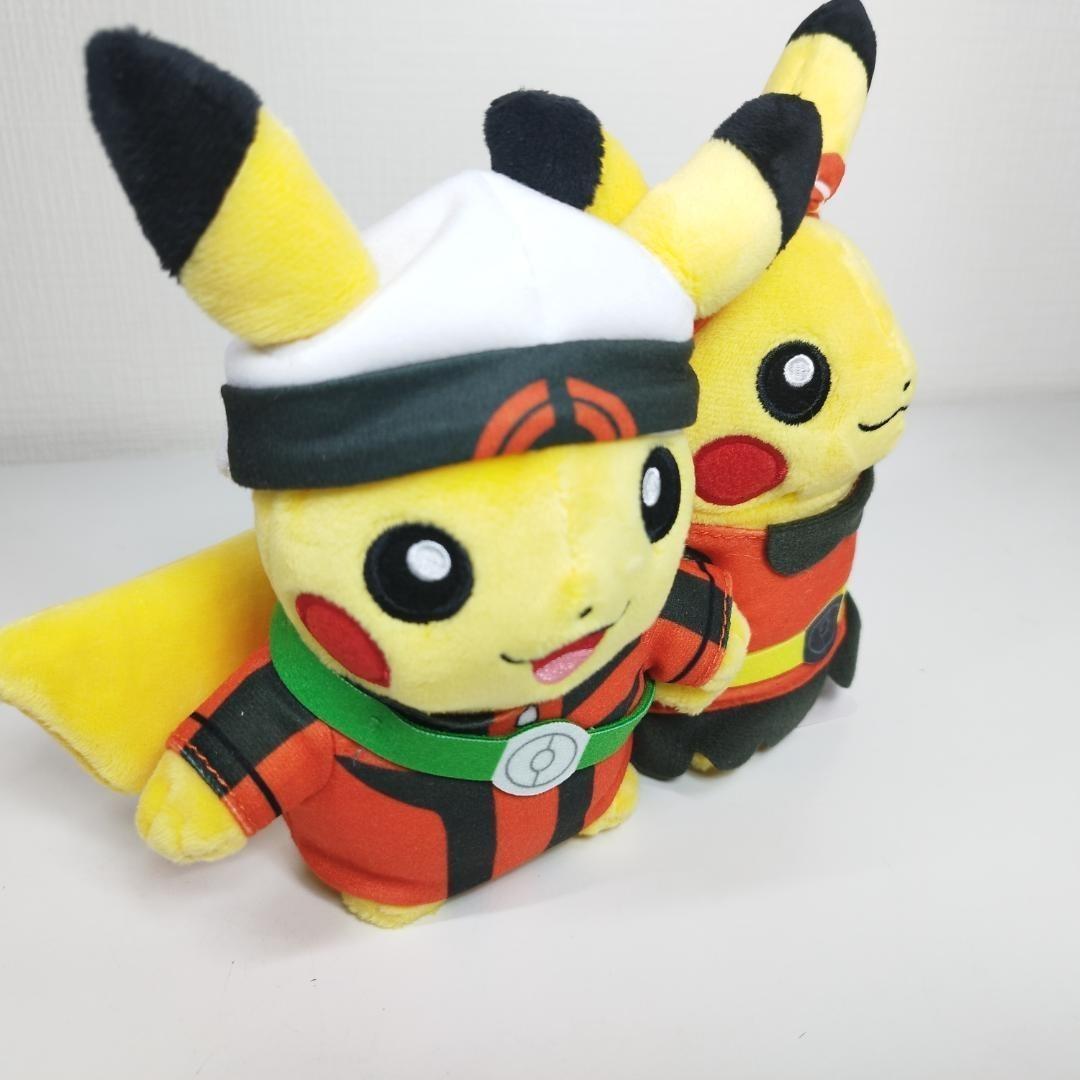 ピカチュウ 25周年 ホウエン地方 ぬいぐるみ ペア ポケモンセンター hIS6