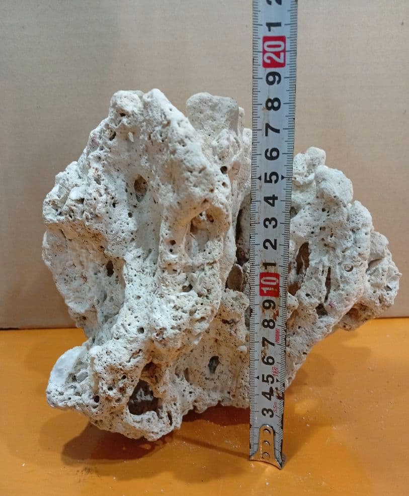 天然ライブロック　デスロック　アクアリウム　白化サンゴ　ハンドメイド