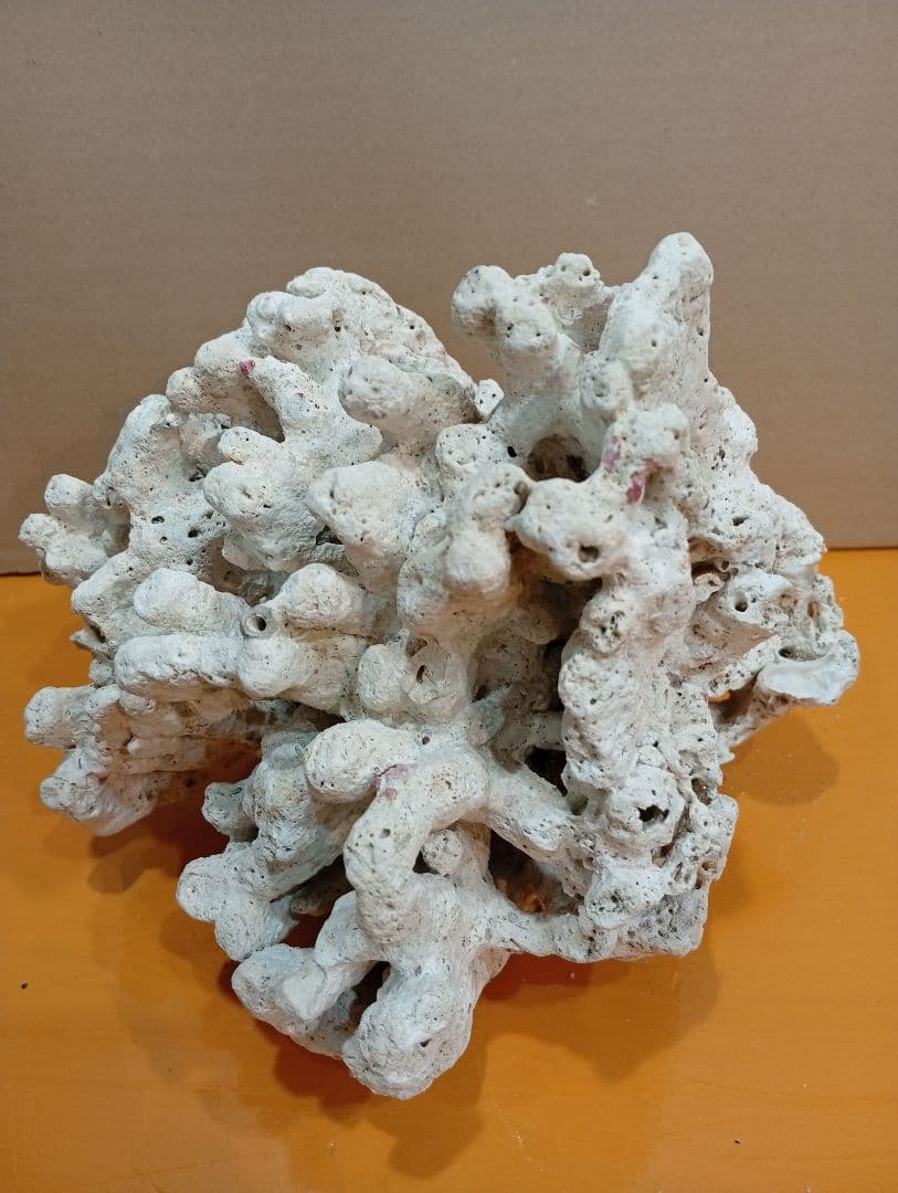 天然ライブロック　デスロック　アクアリウム　白化サンゴ　ハンドメイド