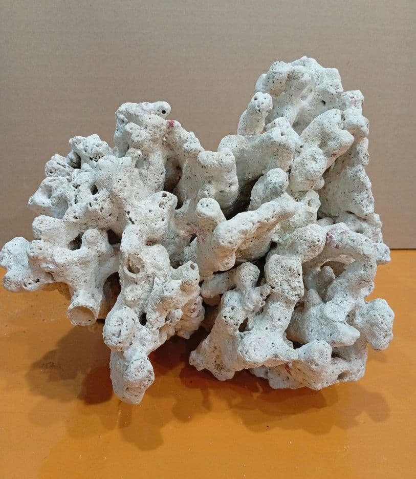 天然ライブロック　デスロック　アクアリウム　白化サンゴ　ハンドメイド