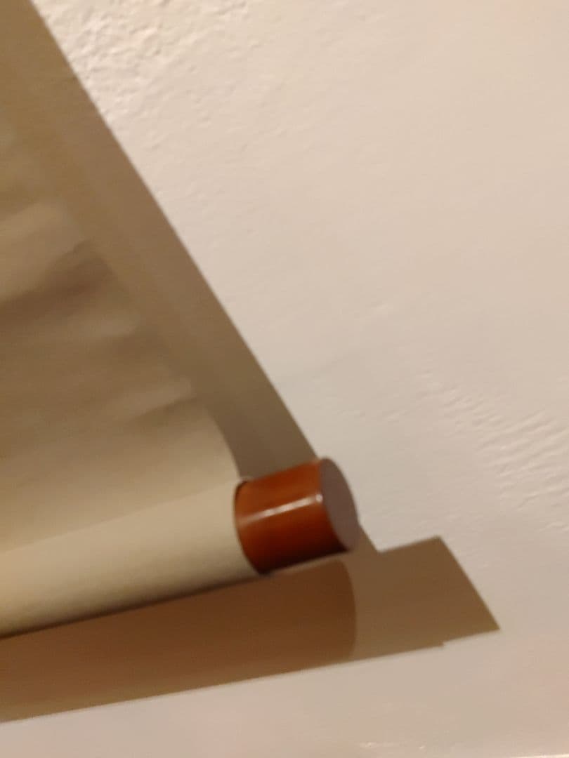 【茶道具】大徳寺興臨院　大橋香林和尚筆　一行筆「松無古今色」軸B52