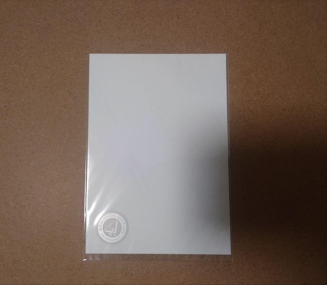 櫻坂46 小田倉麗奈 2023年クリスマスサンタ衣装 直筆生写真