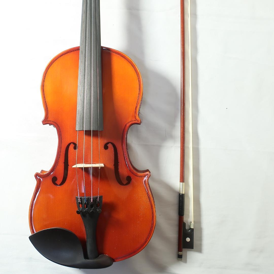 美品 Carlo giordano VS-1 4/4 2014 バイオリン