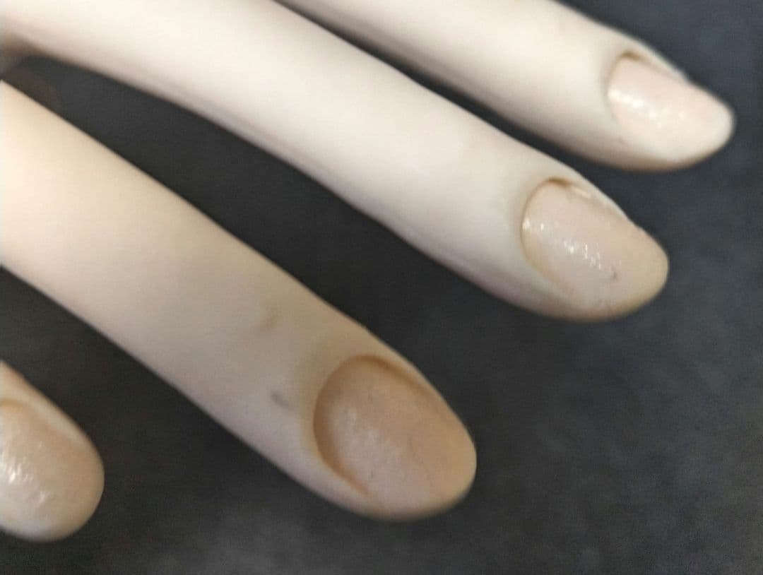 JNEC認定モデルハンド　ネイリスト技能検定