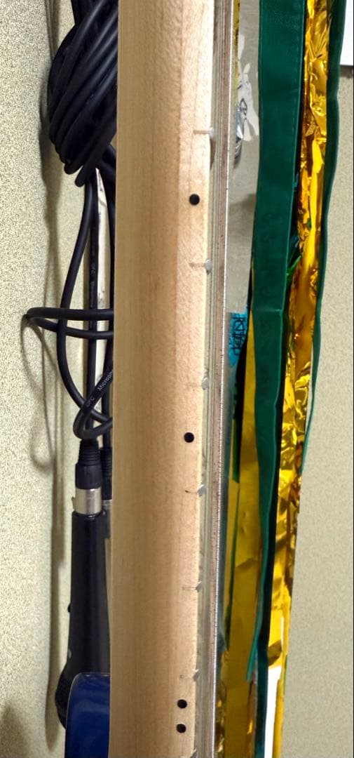 Kaalena KA-TE/M エレキギターテレキャスター