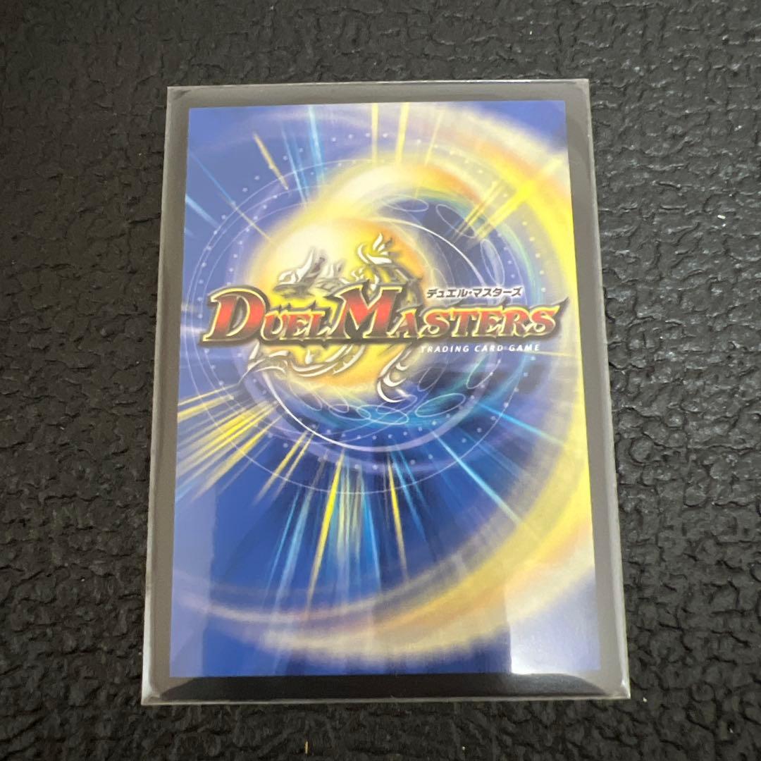 聖霊龍王 メルヴェイユ サインシークレット