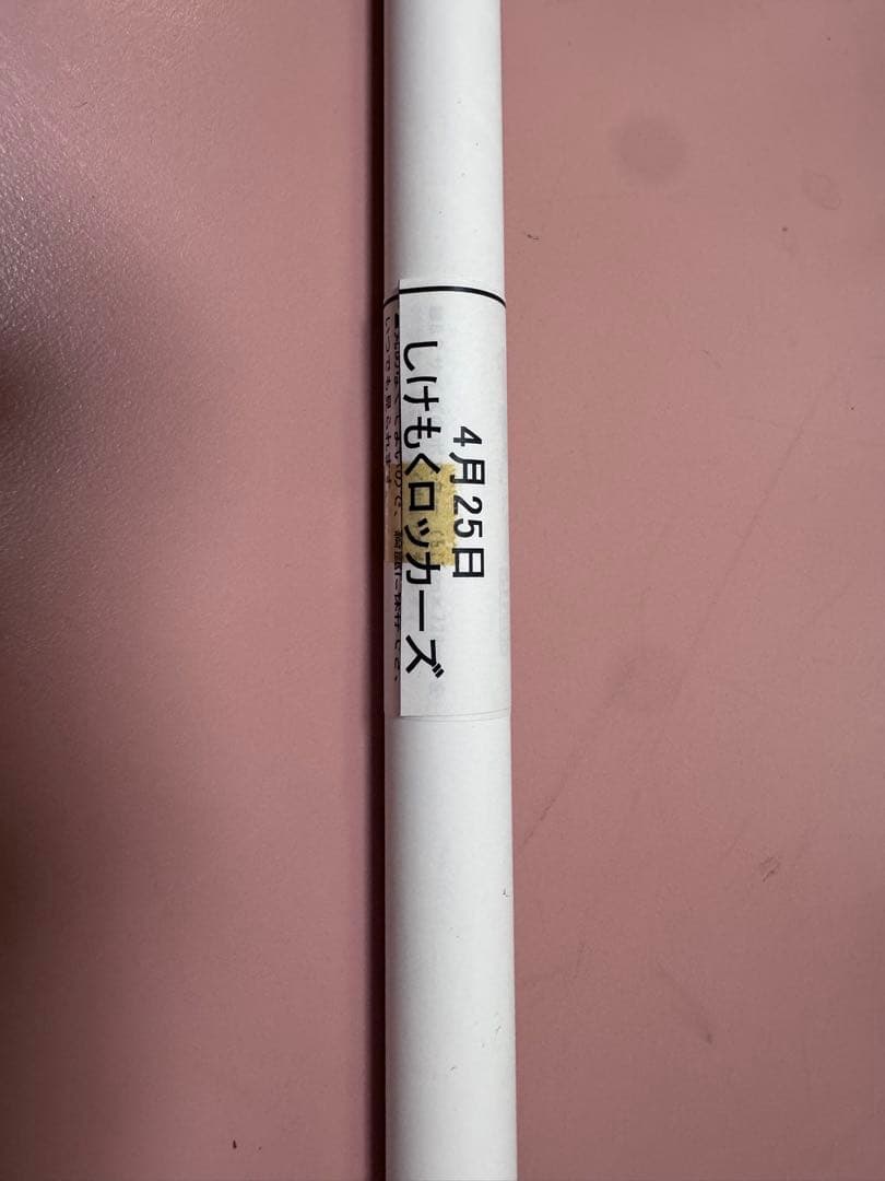 Hi-STANDARD 横山健などポスター11枚まとめ売り