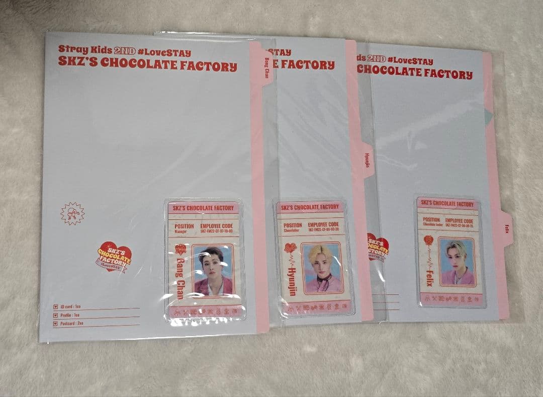StrayKids　10cmぬい、プロフィールファイル　セット