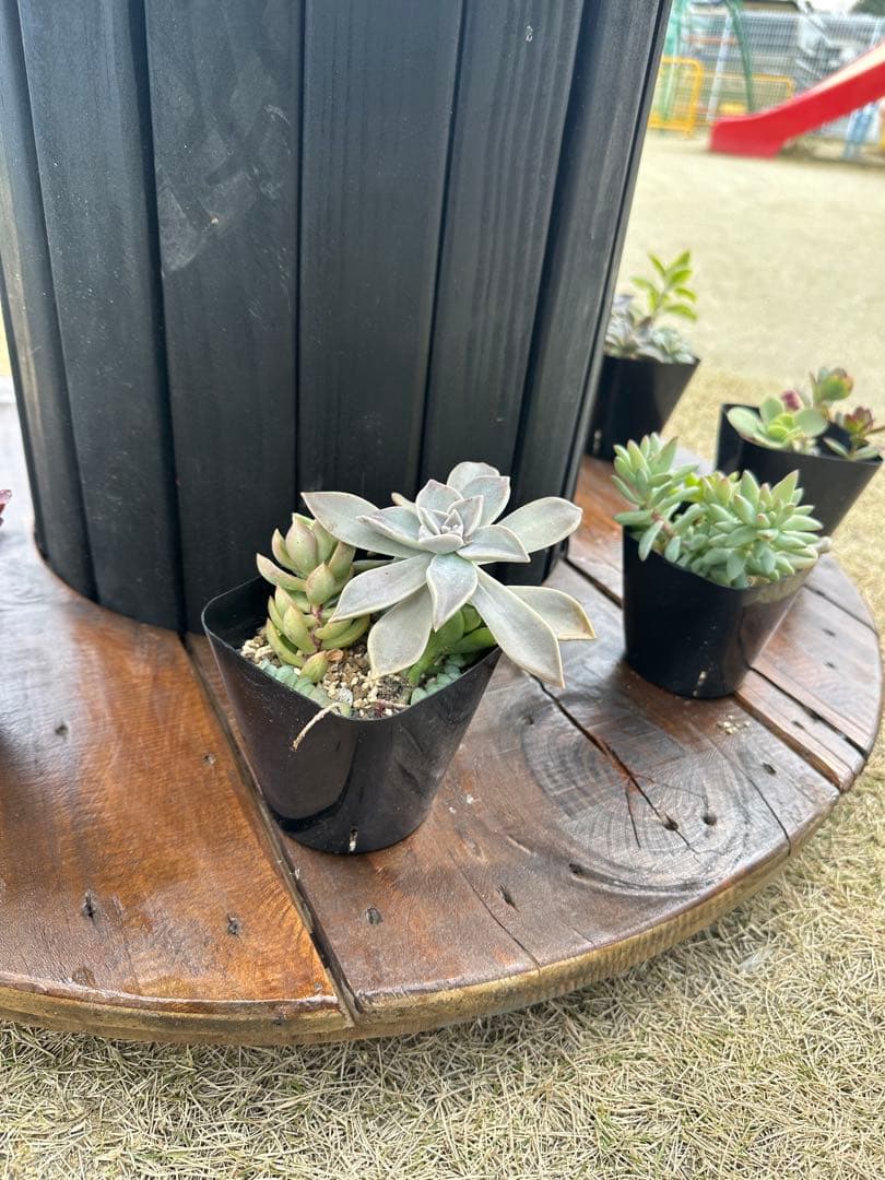 電線ドラム・ケーブルドラム★ガーデニング／ガレージ／キャンプ／テーブル/家具