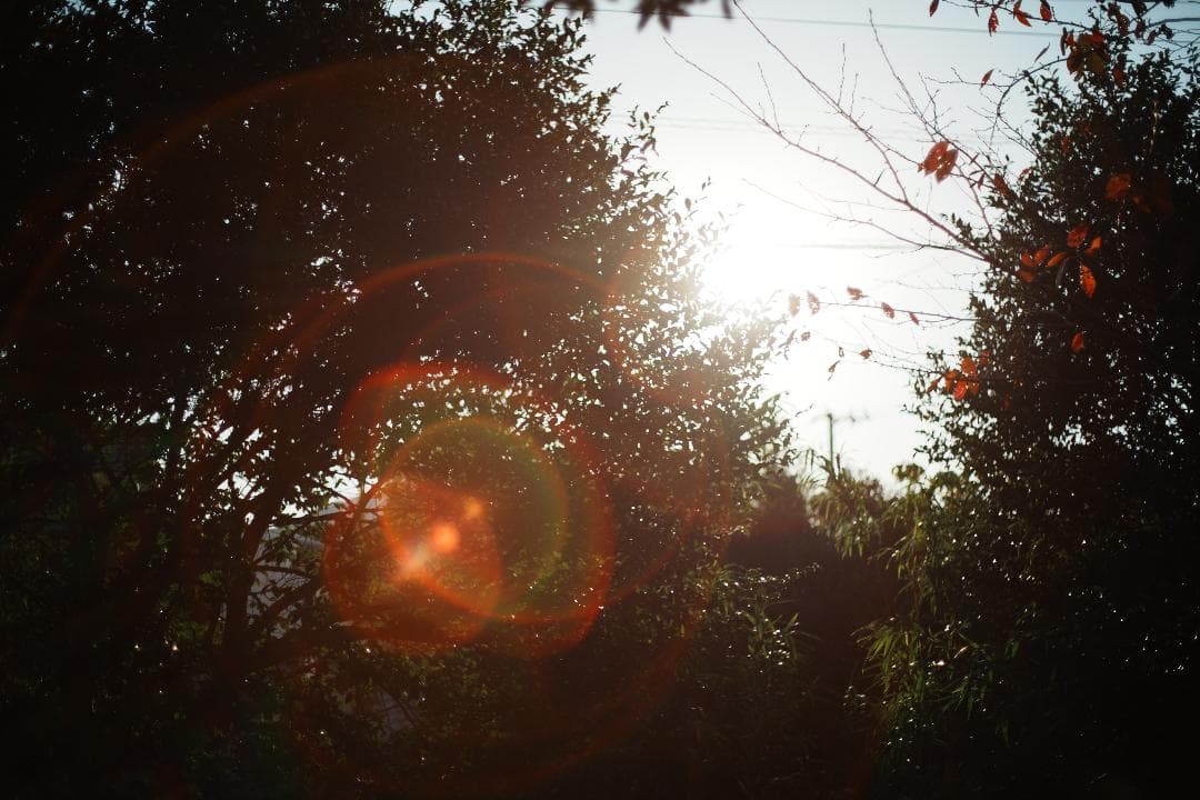 【希少・整備＆テスト済】FUJINON 50mm F1.4 M42 697