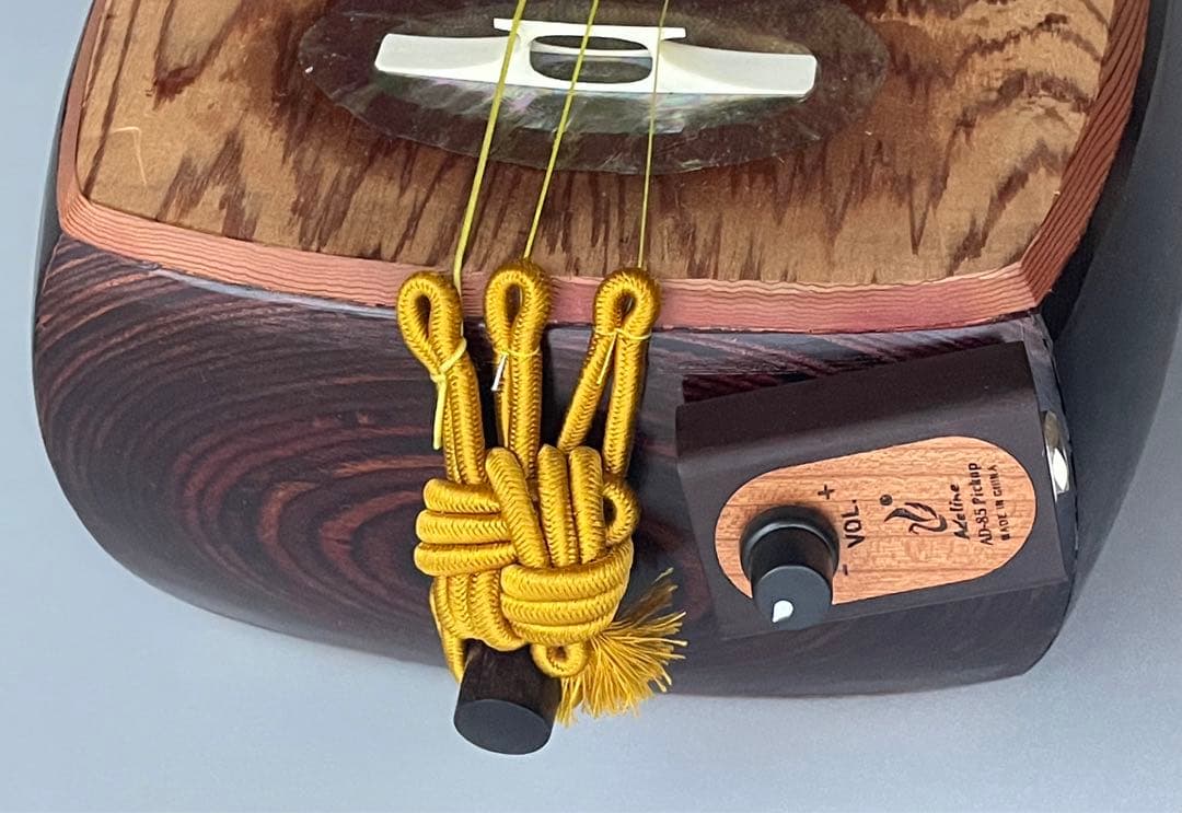 レア楽器　「サバミセン」　エレクトリック対応、撥・ハードケース付き