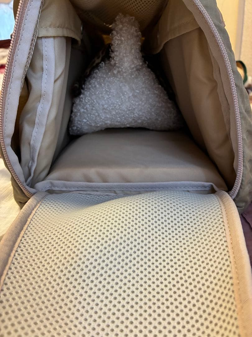 匿名送料込美品⭐︎DGDLベージュ ペット用キャリーバッグ 多機能