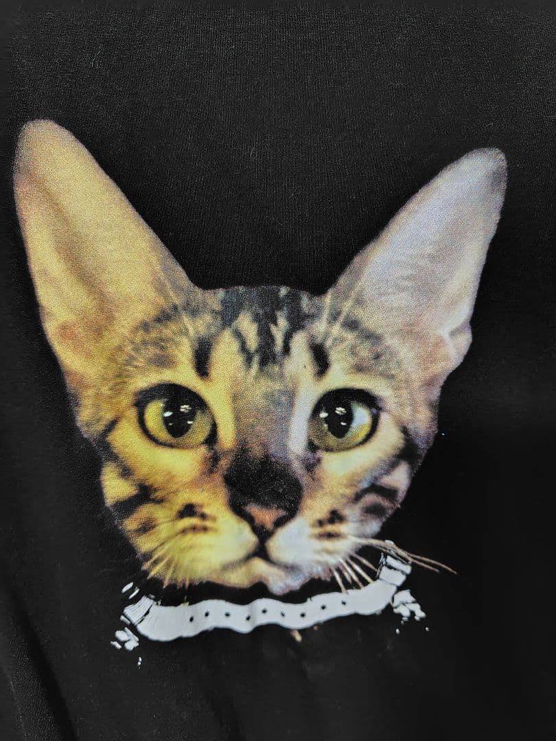 BUCK-TICK 櫻井敦司 くるみちゃんTシャツLサイズ 美品