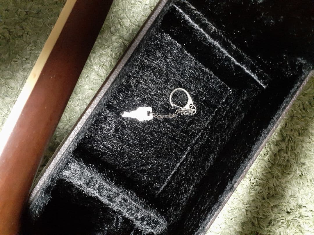 ヤイリギターケース付き　ジャンク修理済み　さユり楽譜