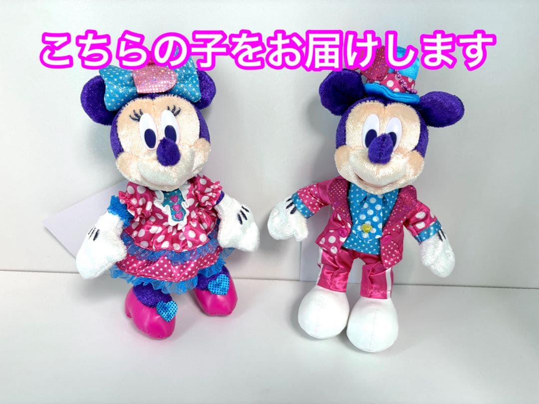 ディズニー ミニーのファンダーランド ぬいぐるみバッジ ぬいば ミニキミ 新品