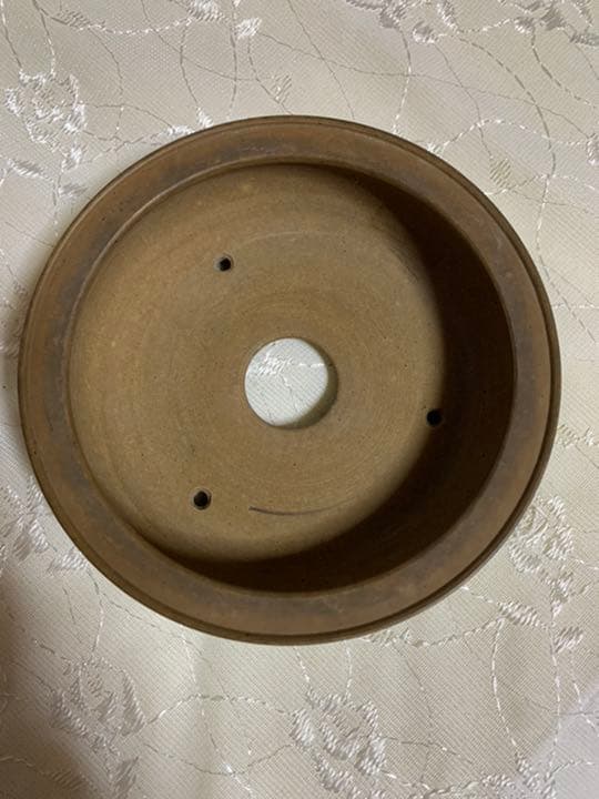 佐太郎　丸　松の絵彫り　盆栽鉢