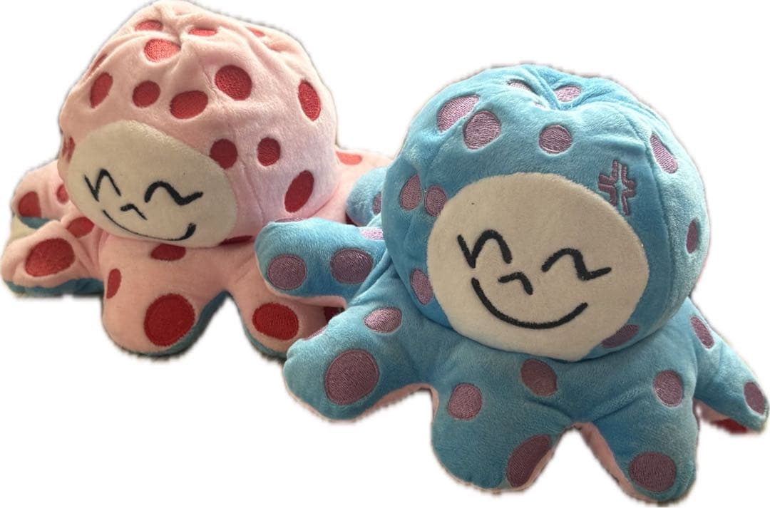 Star team Kyota umek KyotaUmeki prov 2個