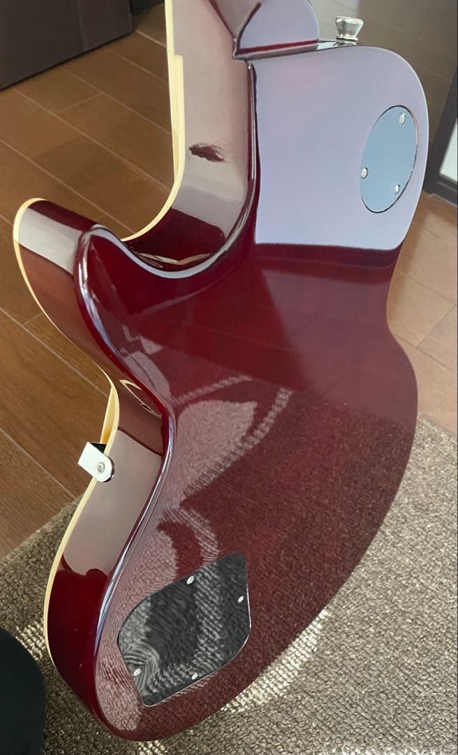 バッカス レスポール Live Road ソフトケース付