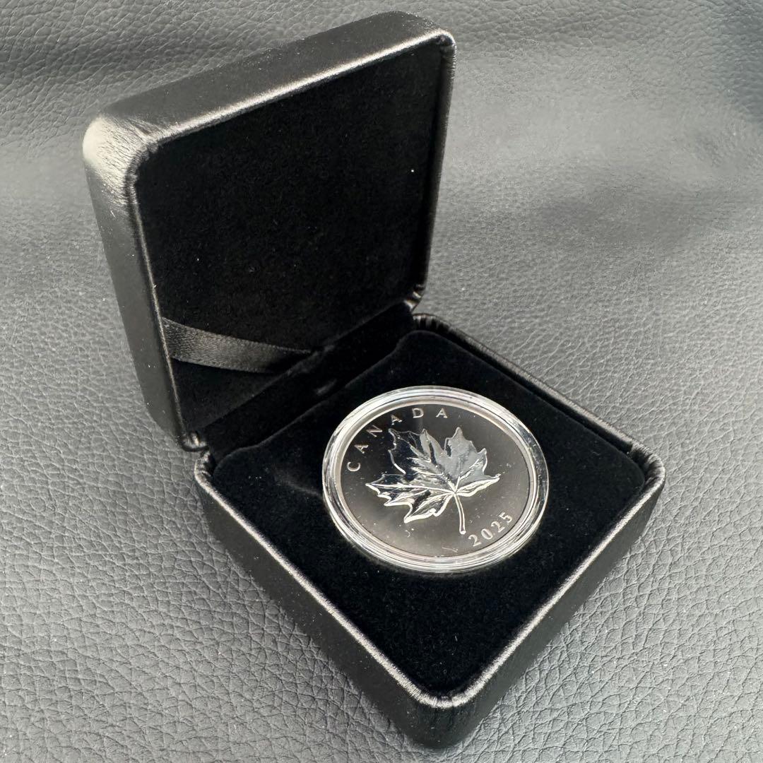 カナダ エレガントメイプルリーフ 銀貨 ブラックロジウム 艶消しプルーフ 保証書