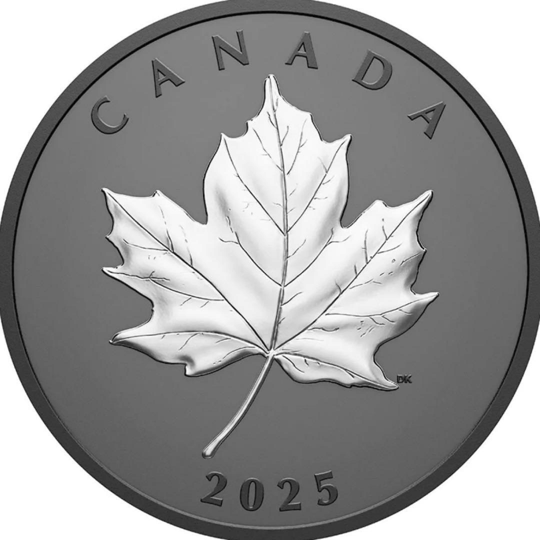 カナダ エレガントメイプルリーフ 銀貨 ブラックロジウム 艶消しプルーフ 保証書
