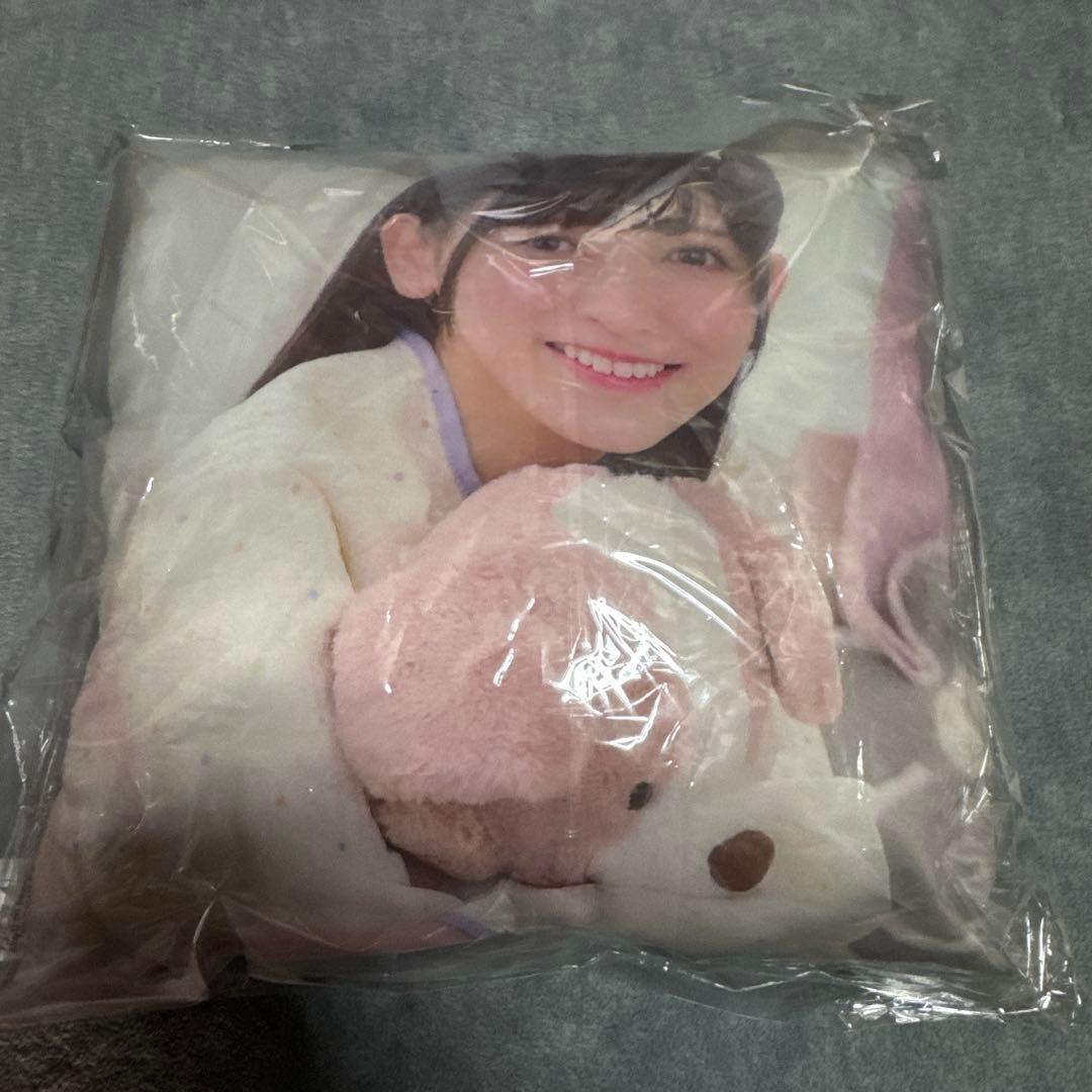 っ*る様 乃木フェス　直筆サイン入り　推しメンクッション　　池田瑛紗　てれぱん