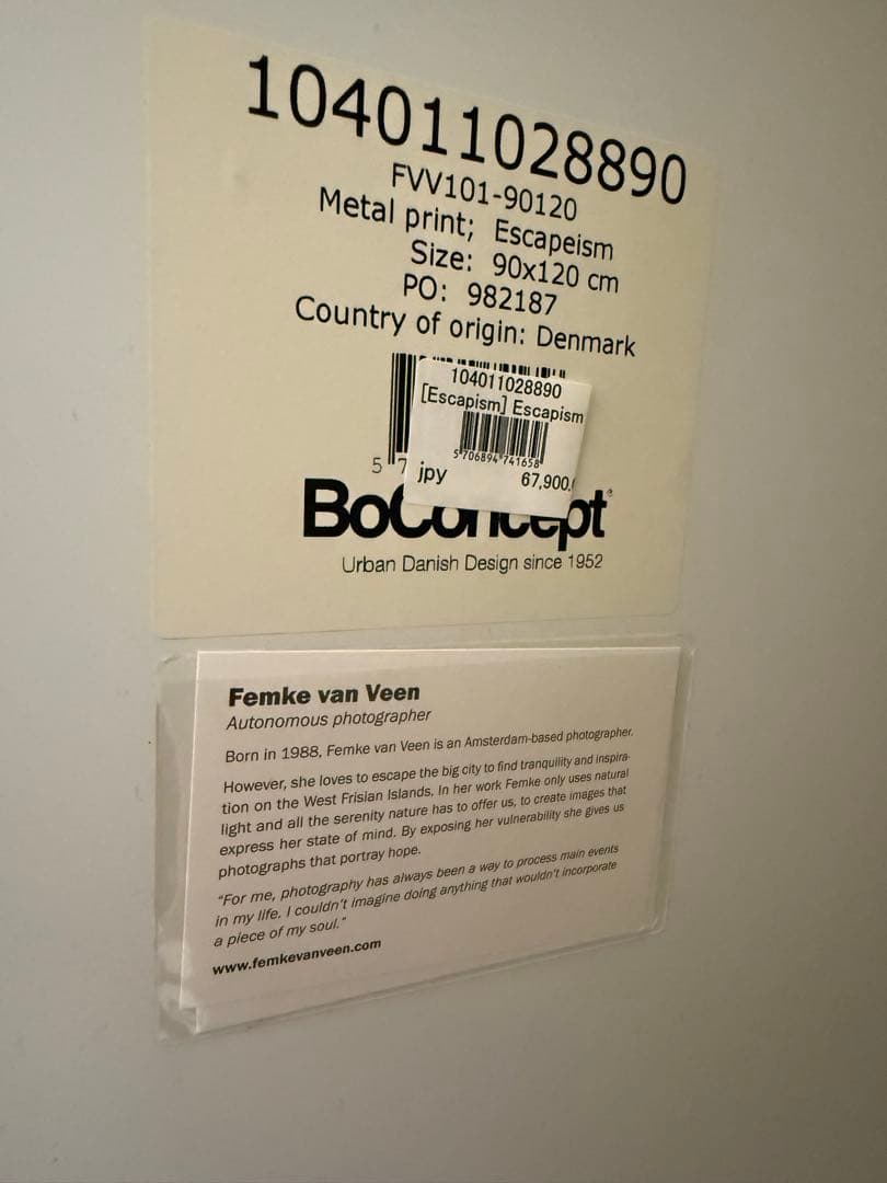 BoConcept（ボーコンセプト） メタルプリントアート“Escapism”