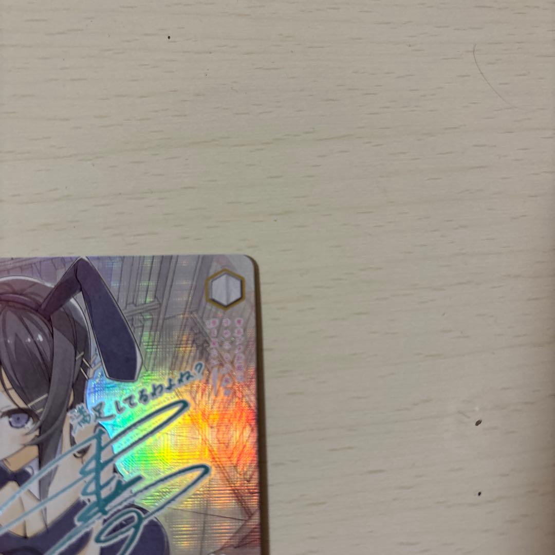 シ*見様 おかしな出来事　桜島麻衣　青ブタ　SEC サイン