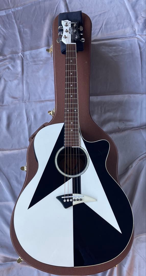 Dean Michael Schenker Exotica エレアコ