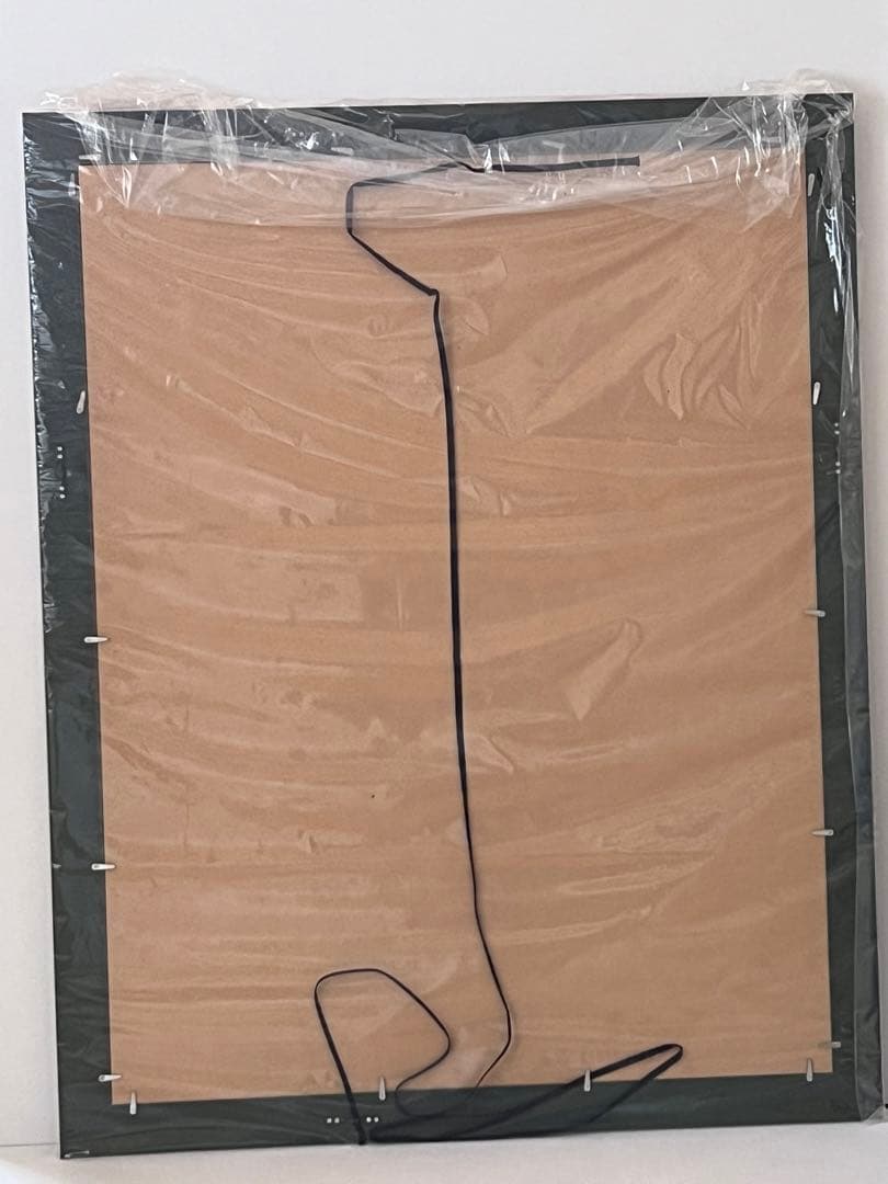 値下げ！選べるデザイン 選べる額縁 大判 850x660mm ダストカバー付