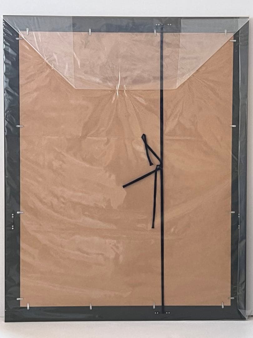 値下げ！選べるデザイン 選べる額縁 大判 850x660mm ダストカバー付