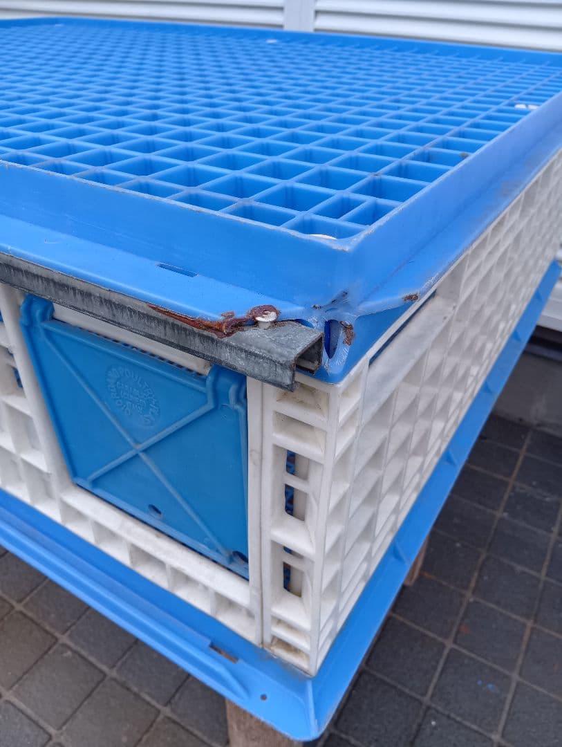 放鳩籠　コンテナ　レース鳩　移送　搬送　輸送　コンテナー　キャディー　愛鳩の友