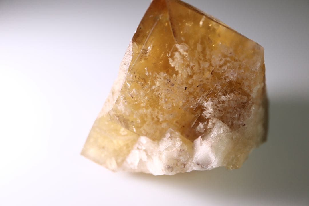 Honey Bear Pocket フローライト