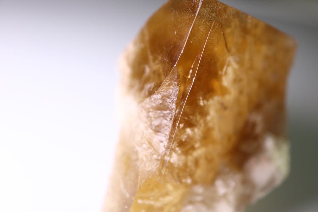 Honey Bear Pocket フローライト