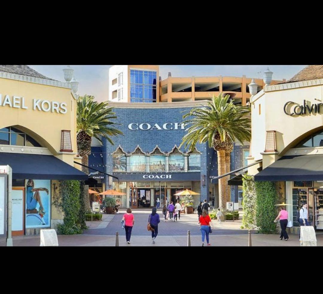 コーチ COACH ミディアム コ チェリープリント さくらんぼ 二つ折り財布