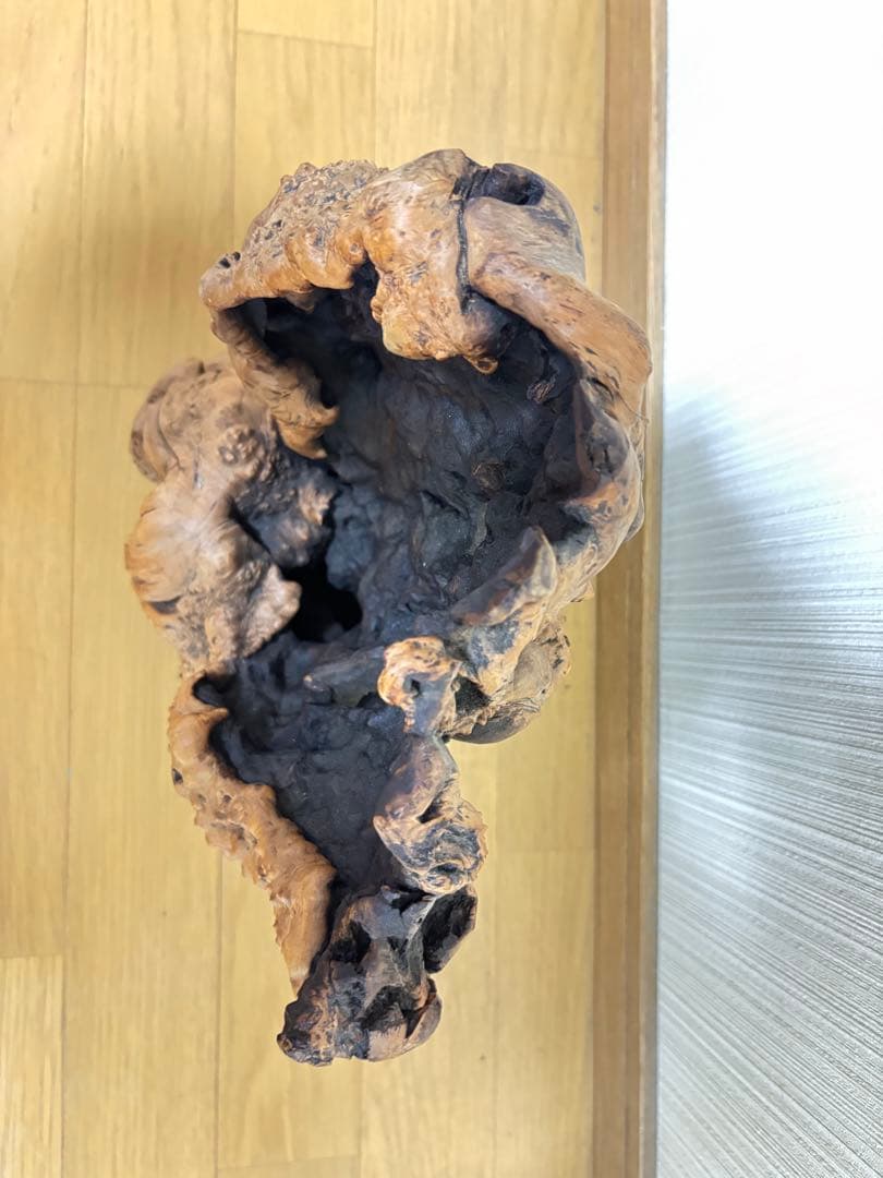 流木 天然木 オブジェ 希少