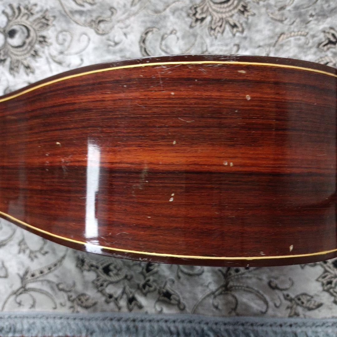 Pearlパール Epiphone TEXAN モデル 林楽器 百瀬さん レトロ