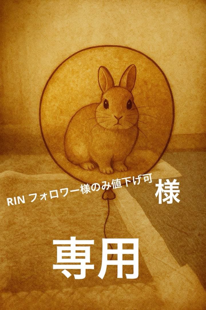 RIN フォロワー様のみ値下げ可