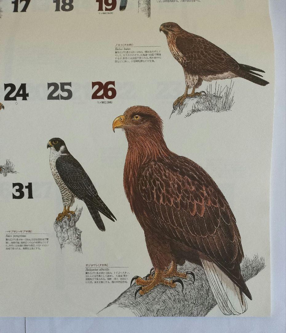 BE-PAL ビーパル カレンダー 新品未使用 1997年　ヴィンテージ