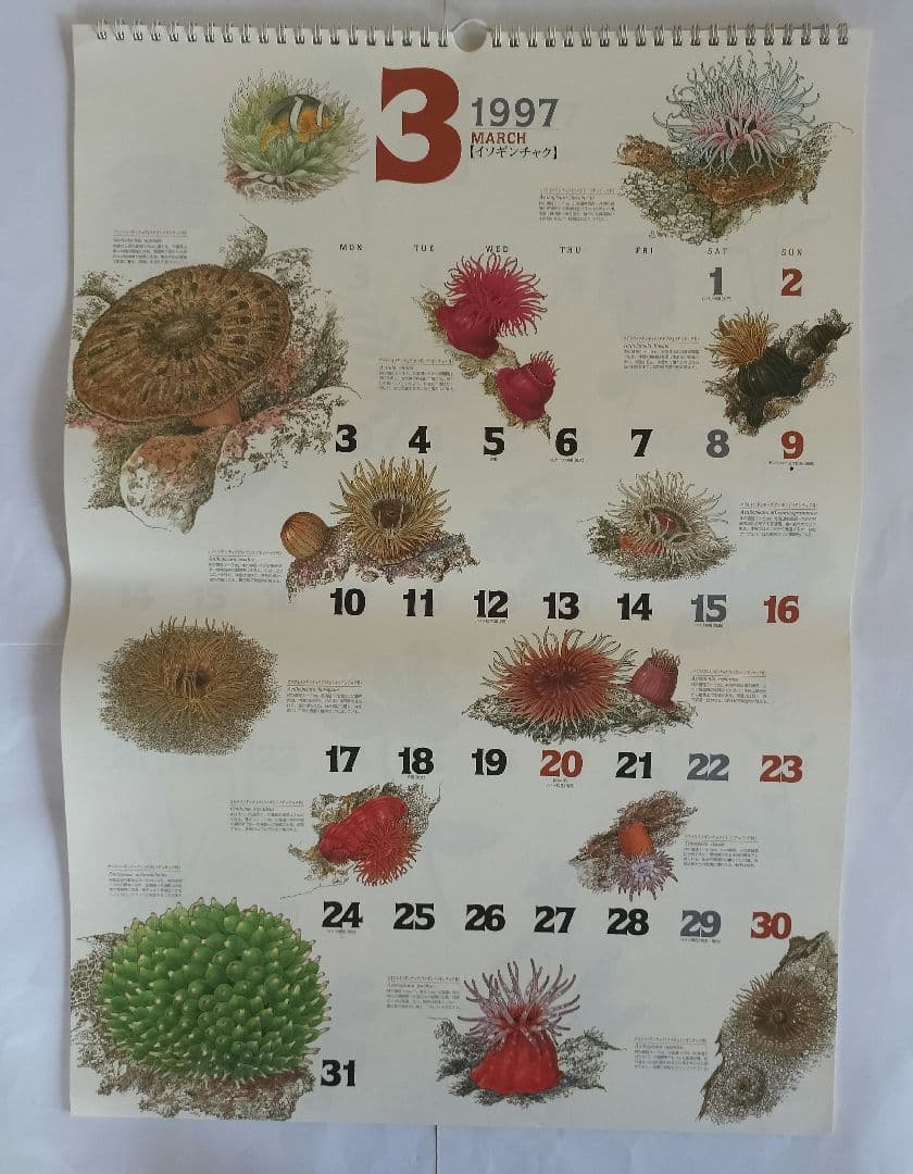BE-PAL ビーパル カレンダー 新品未使用 1997年　ヴィンテージ