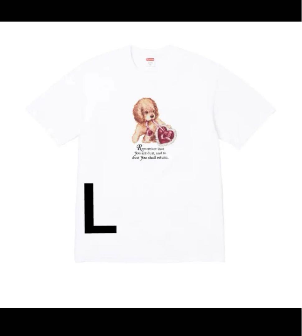 Supreme Dust Tee White 白 Size L 新品