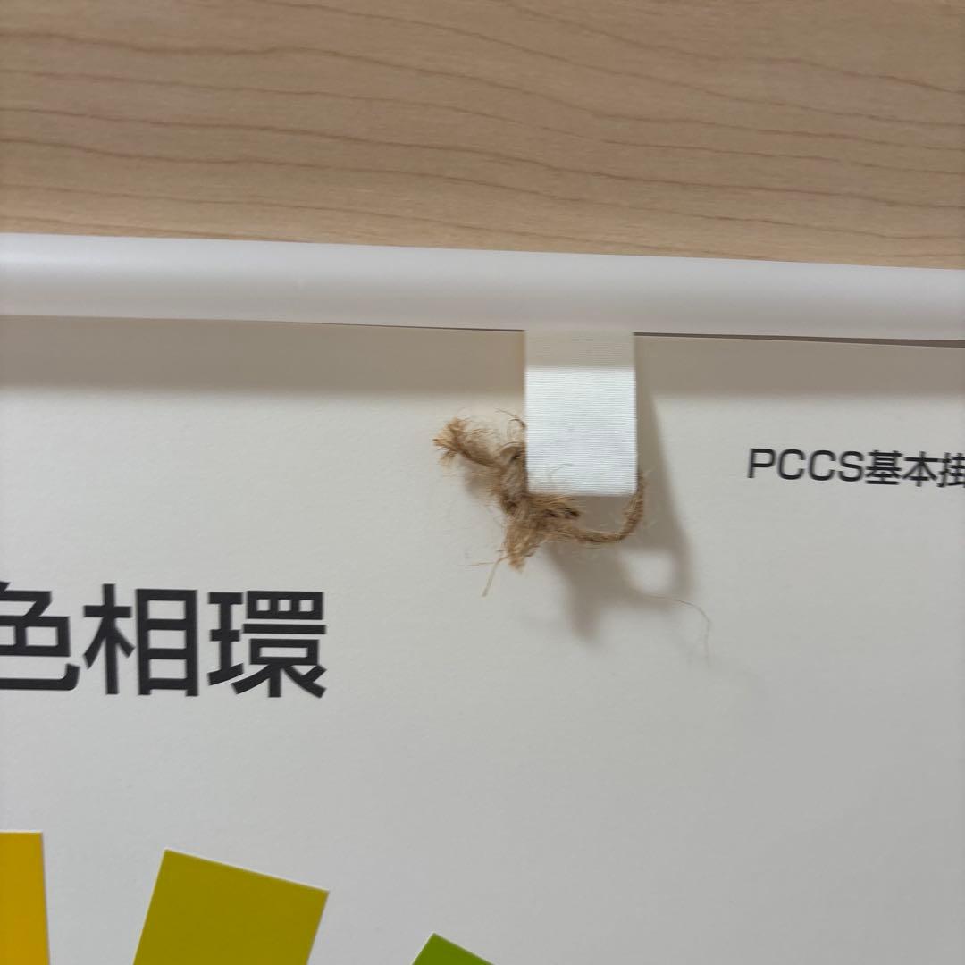 pccs 基本掛図　色相環　トーン分類　備品