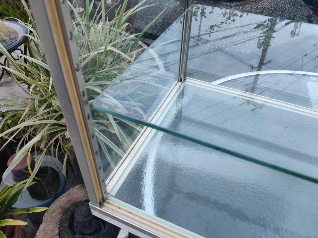 陳列ガラスショーケース☆w600x310x435☆棚板２枚