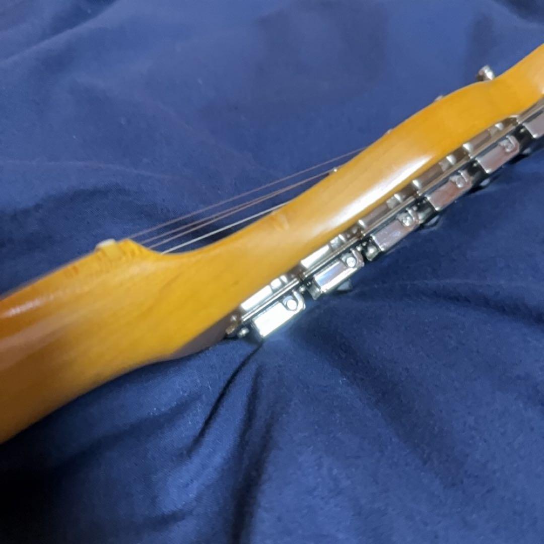 Edwards E-TE-100M/LT テレキャスター ラッカートップ