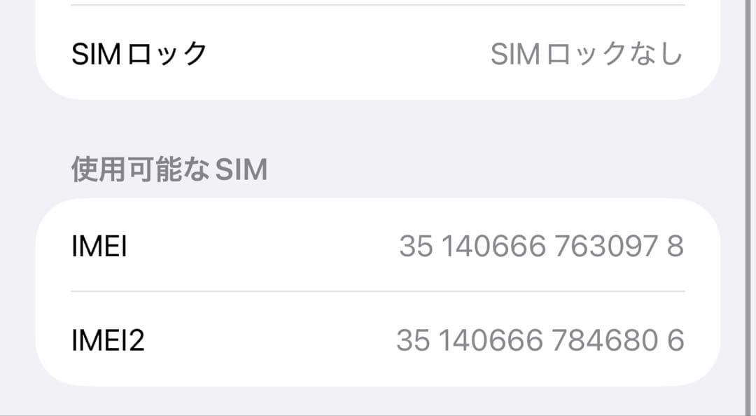 iPhone12 pro max 256GB 海外版 無音シャッター